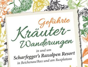 Kräuterwanderungen
